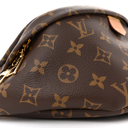 Louis Vuitton LOUIS VUITTON Monogram Bumbag 8 of 11