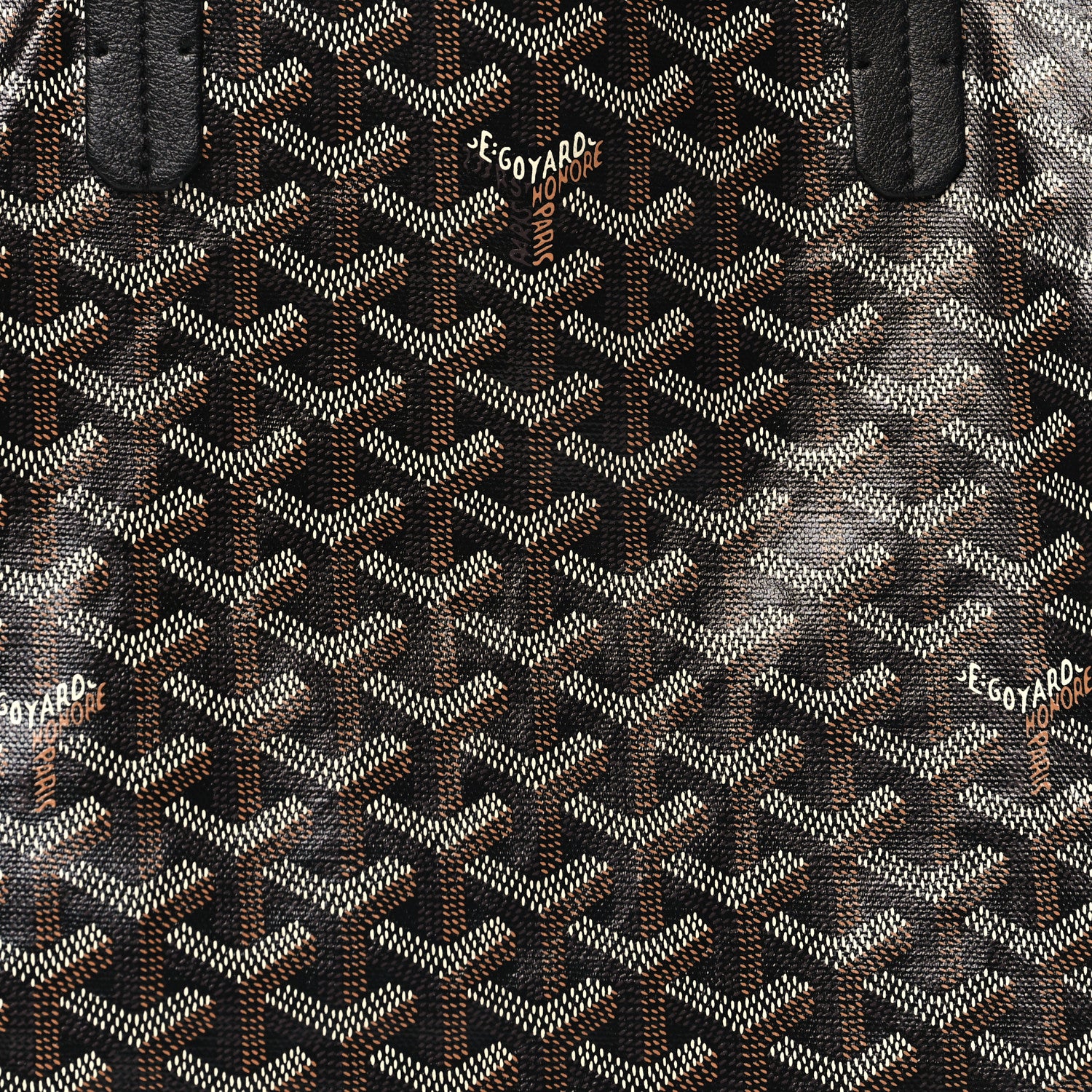 Goyard Goyardine Saint Louis PM Black 7 of 9