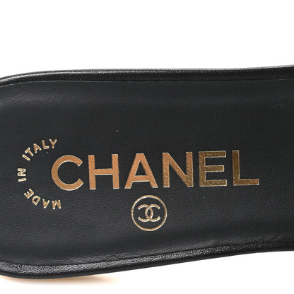 Chanel Lambskin Grosgrain CC Bow Mules 37.5 Black 8 of 9