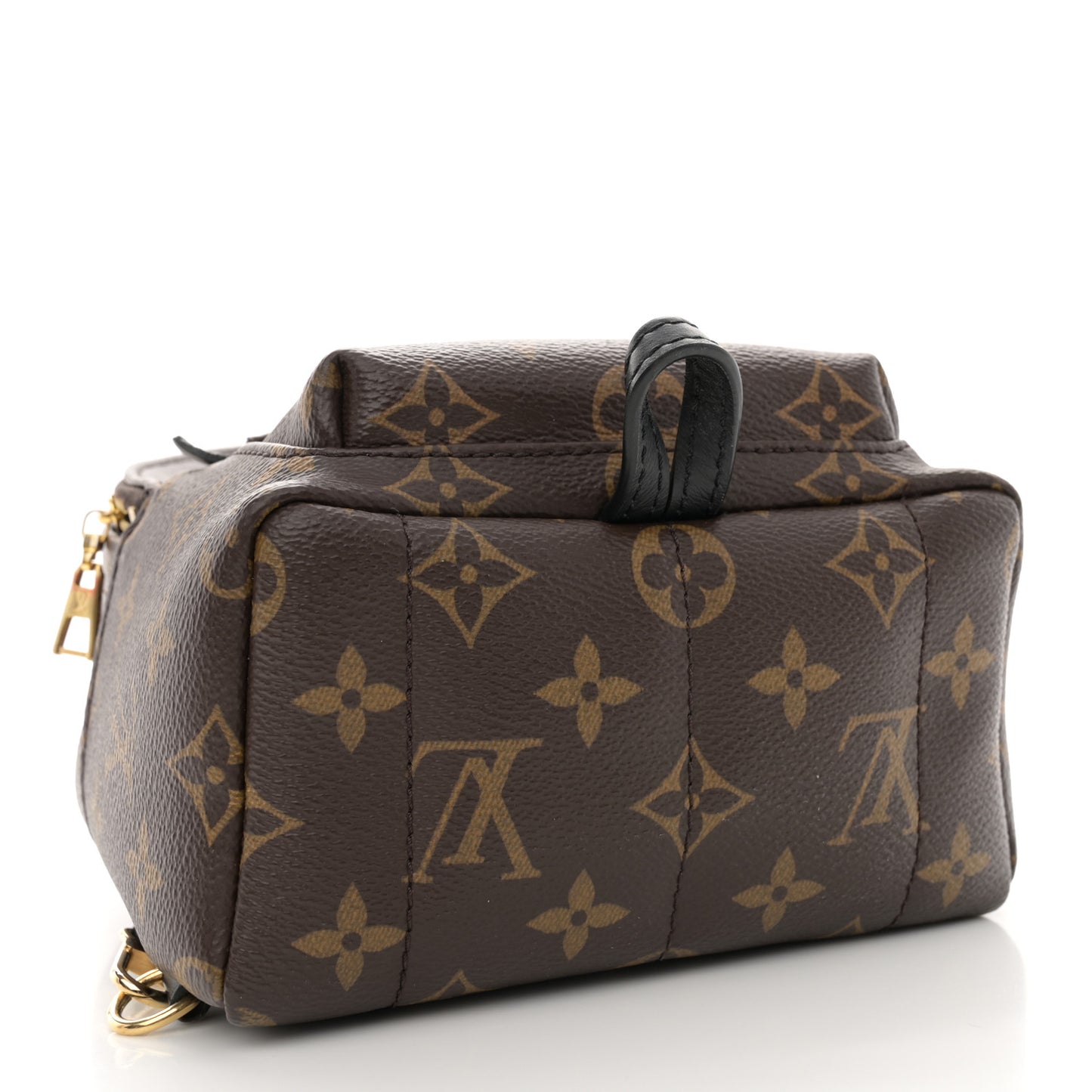 Monogram Palm Springs Backpack Mini