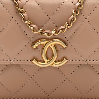 Chanel Calfskin Quilted Perfect Fit Coin Purse With Chain Beige 7 of 10