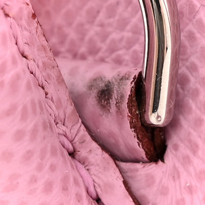 Hermes Epsom 1923 Bolide 25 Mauve Sylvestre 12 of 14