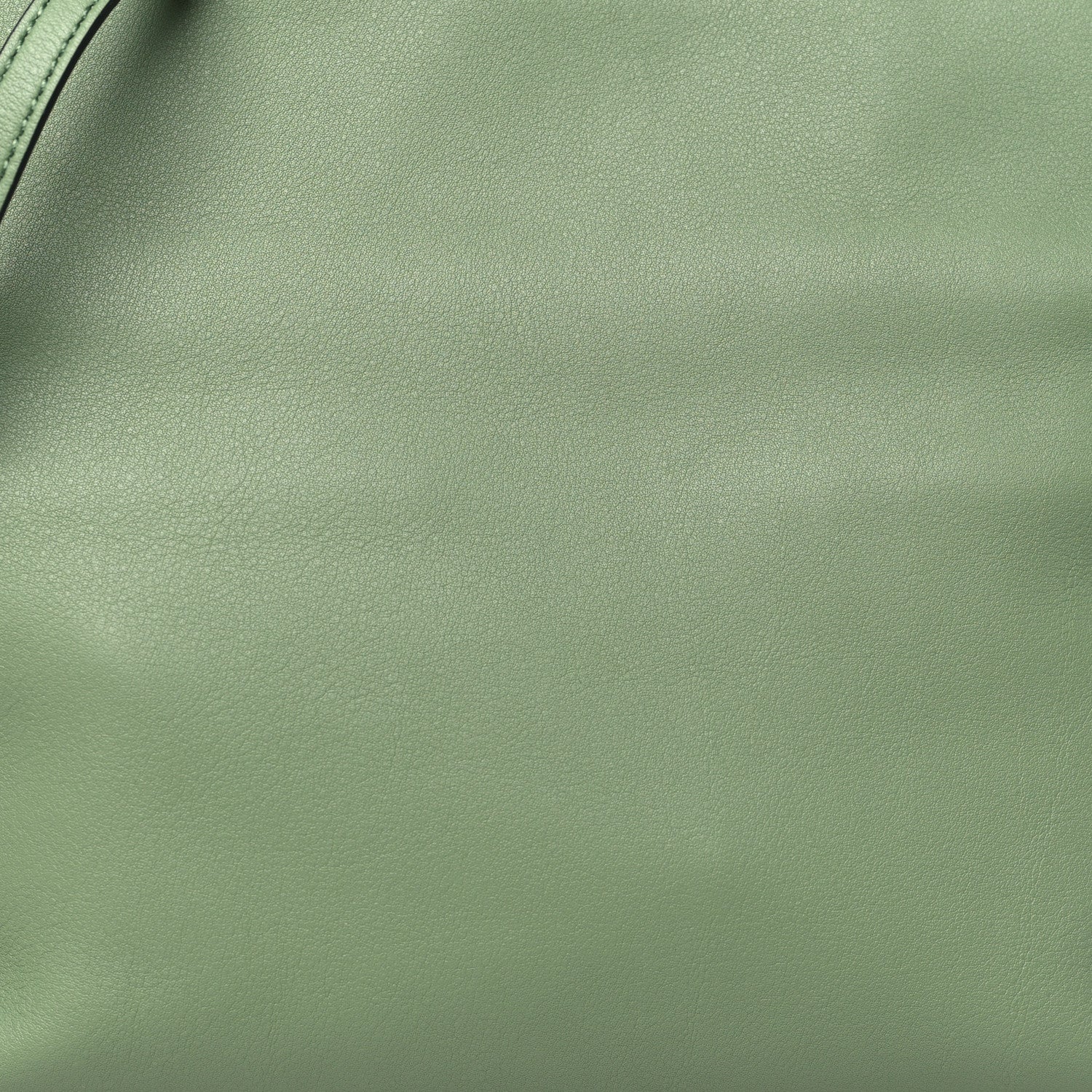 Loewe Calfskin Mini Flamenco Knot Clutch Rosemary 8 of 10