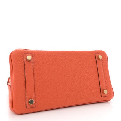 Hermes Togo Birkin 25 Feu 4 of 11