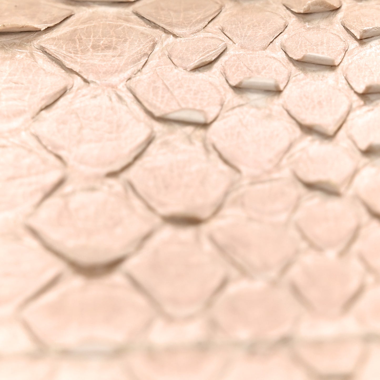 Metallic Snakeskin Medium Double Flap Light Beige
