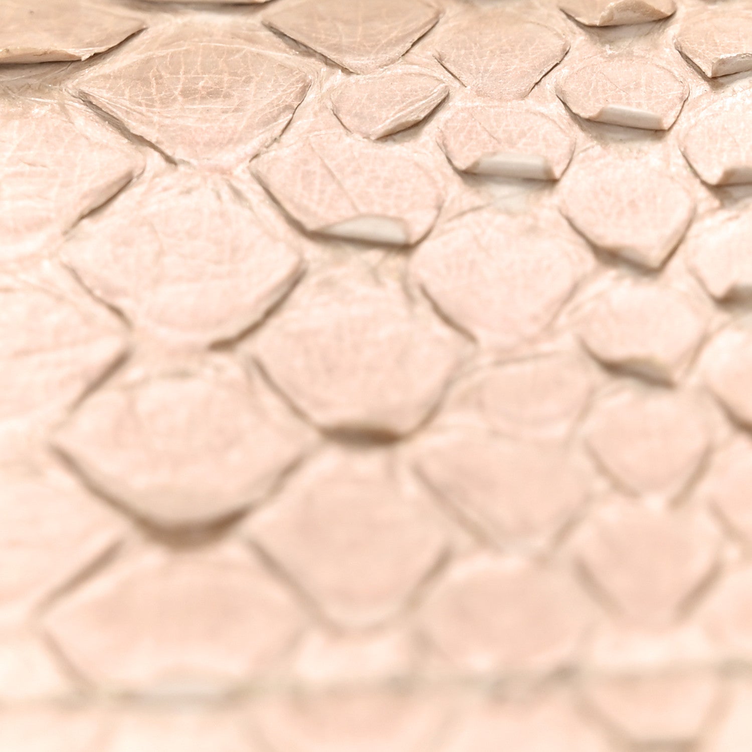 Chanel Metallic Snakeskin Medium Double Flap Light Beige 11 of 11