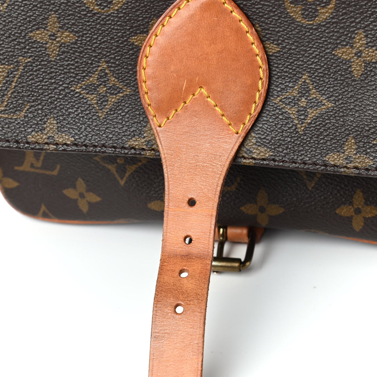 Monogram Cartouchiere 22
