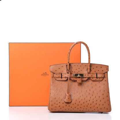 Hermes Ostrich Birkin 30 Cognac 11 of 11