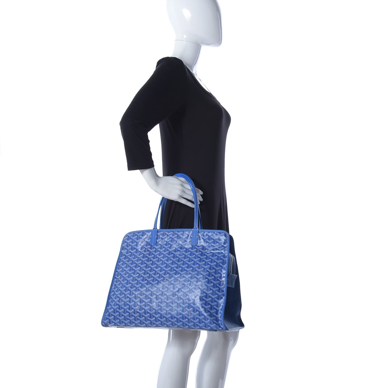 Goyard Goyardine Sac Hardy Pet Carrier PM Sky Blue 2 of 10