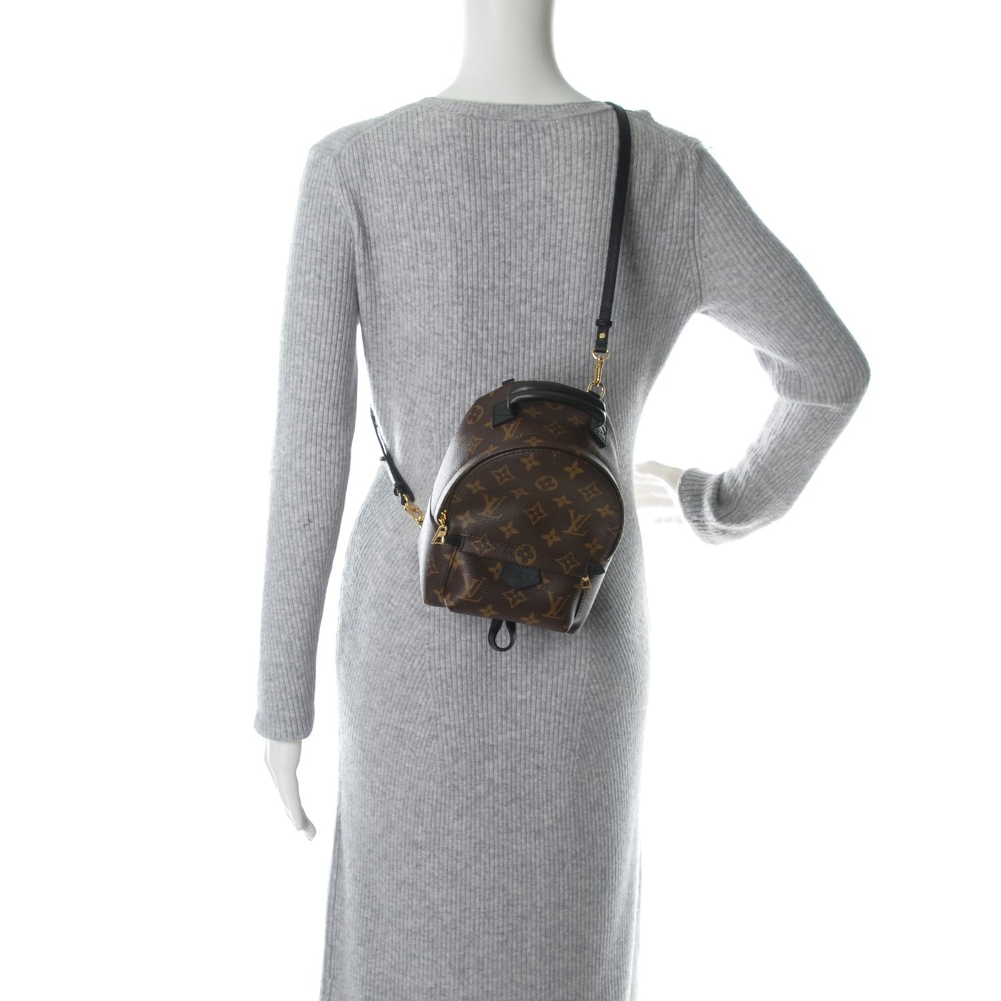 Monogram Palm Springs Backpack Mini
