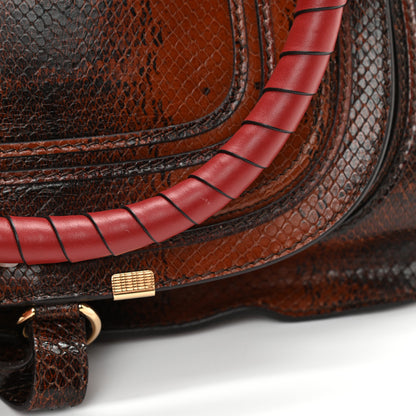 Chloe Calfskin Watersnake Embossed Medium Marcie Satchel Sepia Brown 11 of 14