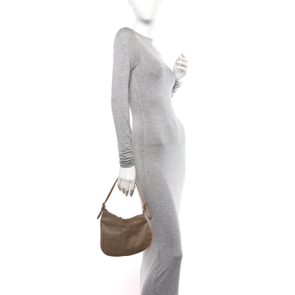 Fendi Zucchino Oyster Beige 2 of 9