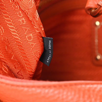 Prada Vitello Daino Hobo Papaya 7 of 13