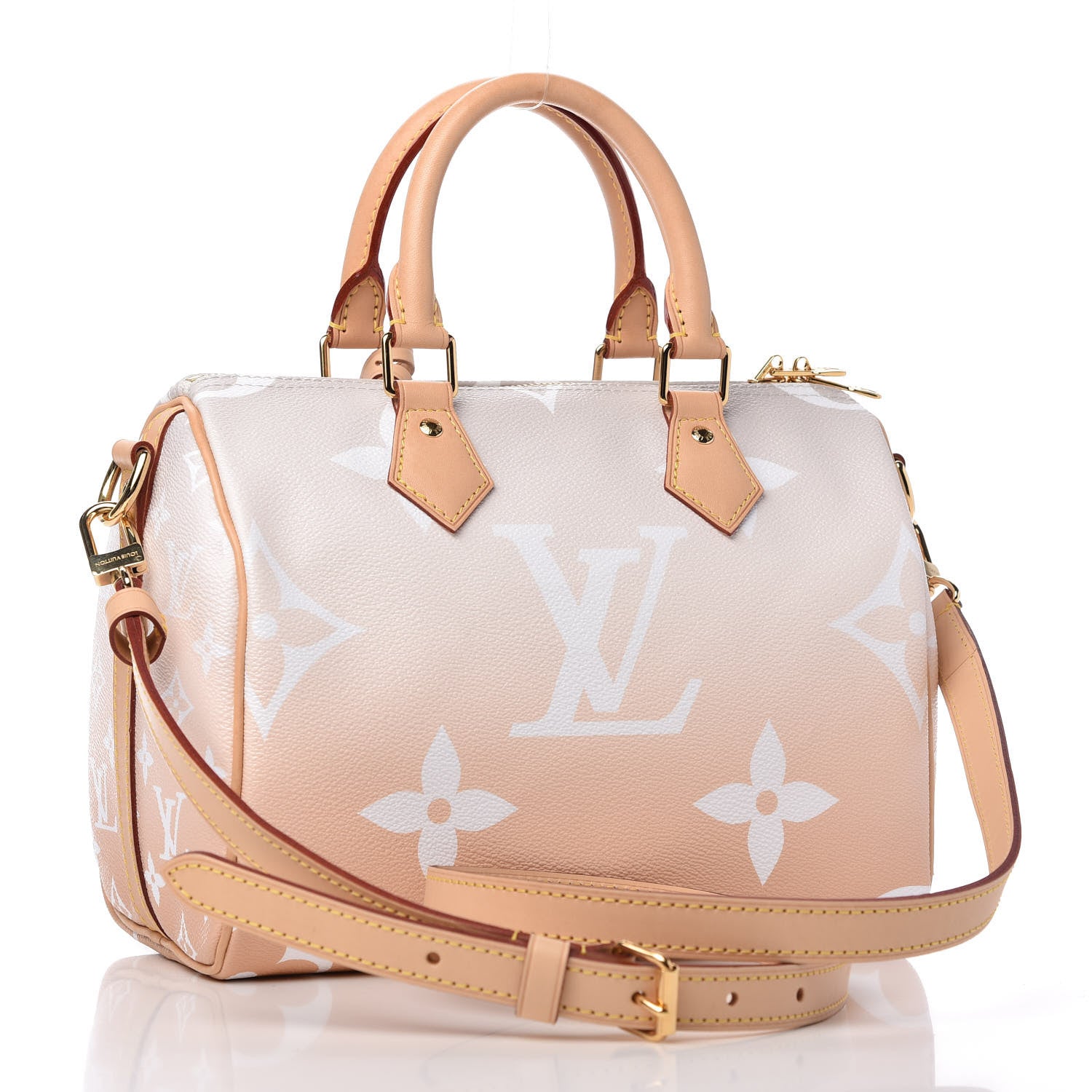 Louis Vuitton Monogram Giant By The Pool Speedy Bandouliere 25 Brume 3 of 10