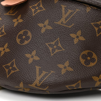 Louis Vuitton Monogram Bumbag 9 of 14
