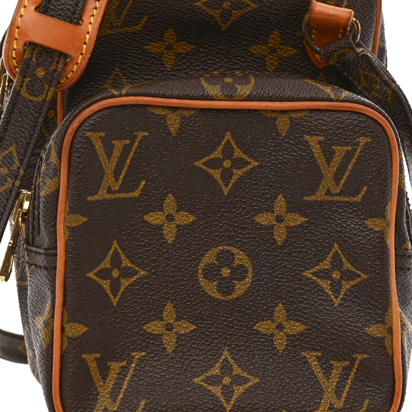 Monogram Amazone PM