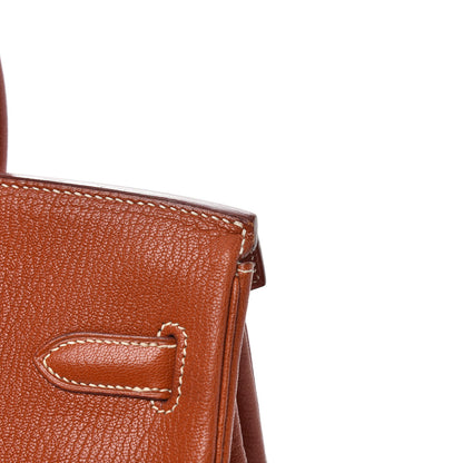 Hermes Chevre de Coromandel Birkin 30 Etrusque 13 of 13