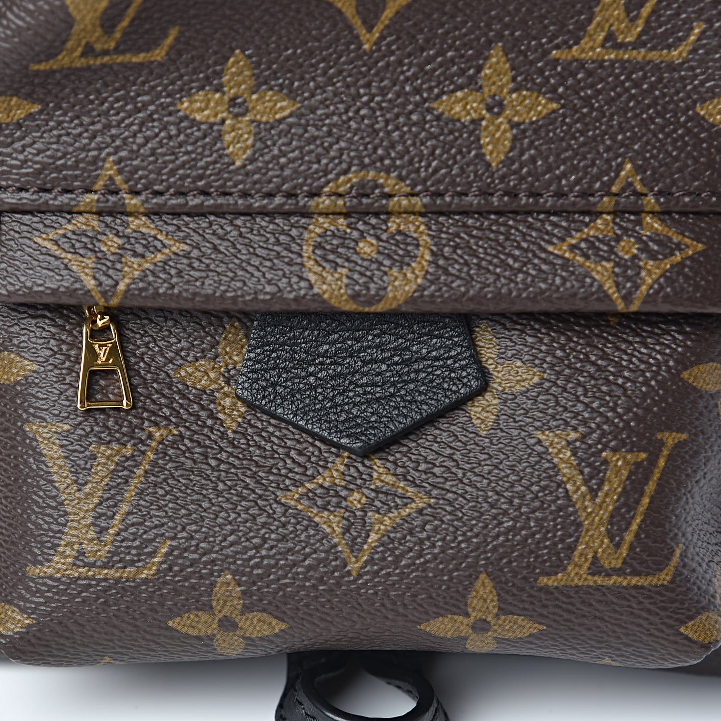 Monogram Palm Springs Backpack Mini
