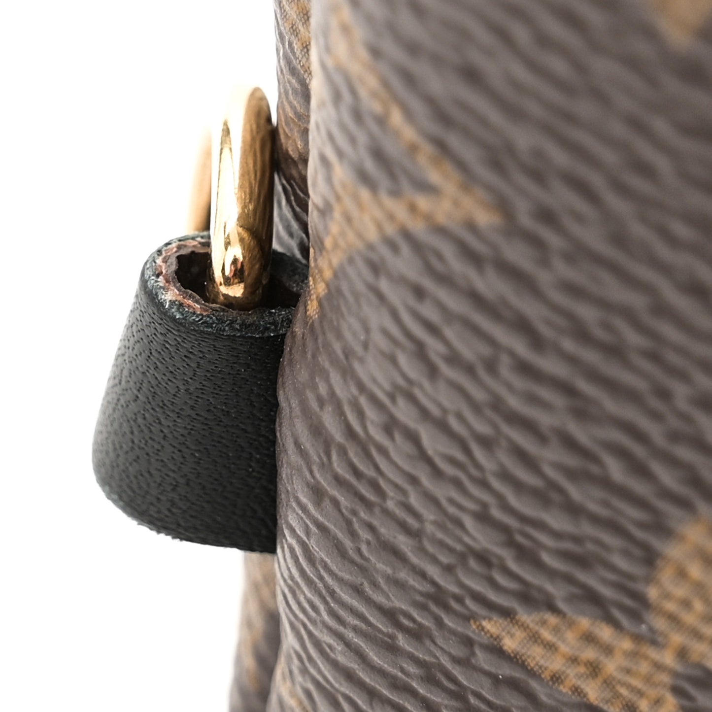 Monogram Palm Springs Backpack Mini
