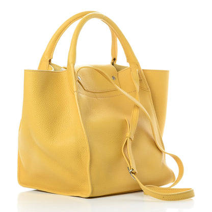 Celine Supple Grained Calfskin Small Long Strap Big Bag Sunflower 3 of 17