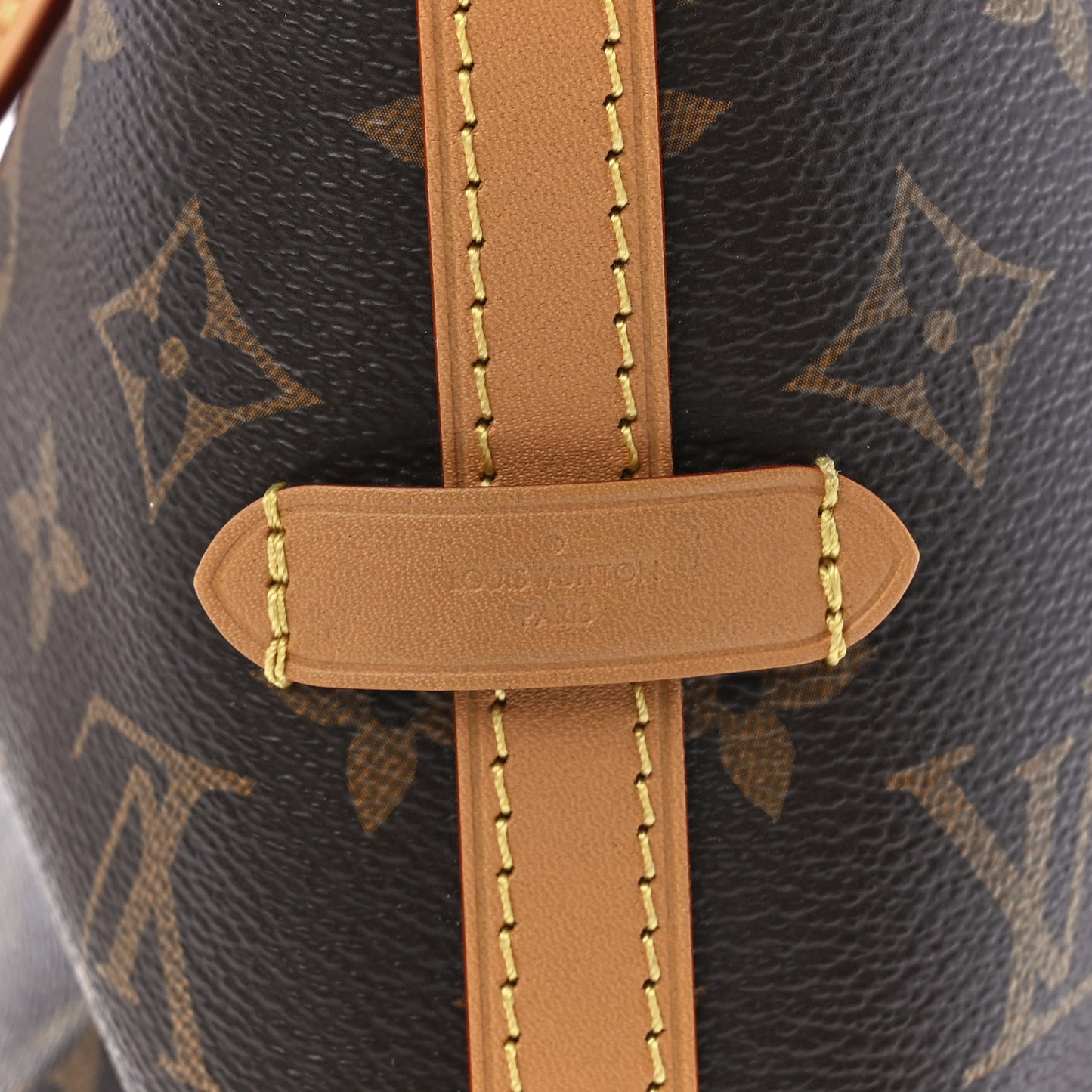 Monogram CarryAll PM