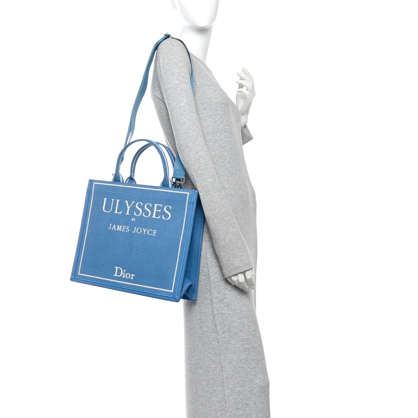 Cotton Toile De Jouy Oblique Embroidered Ulysses Dior Medium Book Tote With Strap Light Blue White