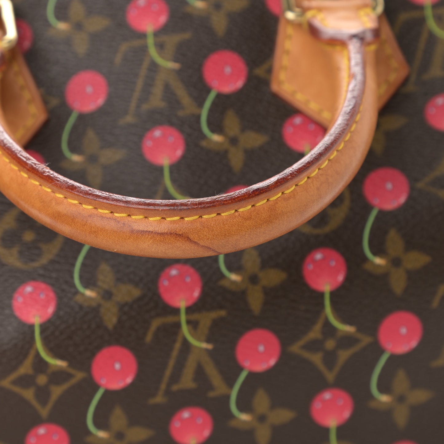 Monogram Cerises Speedy 25