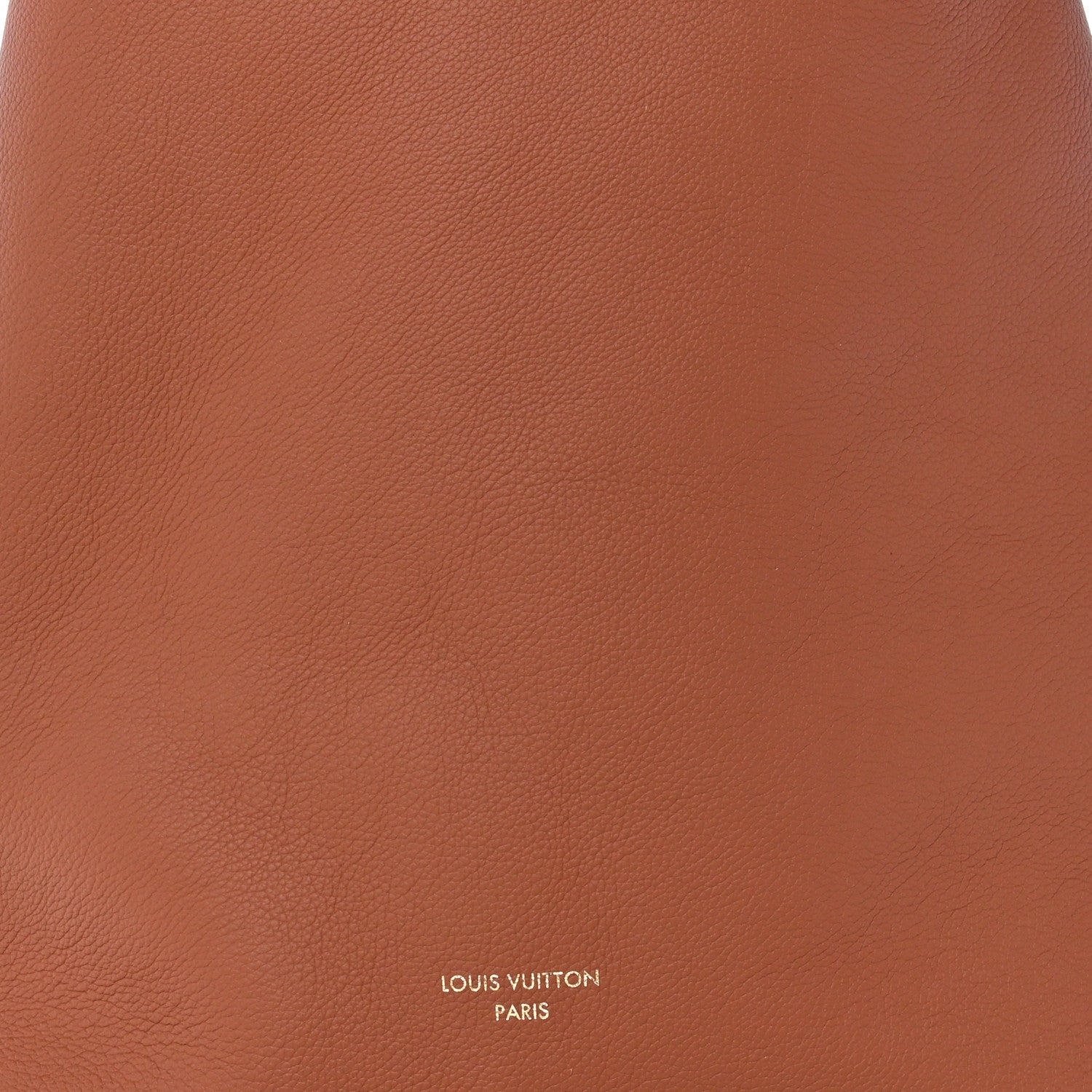 Louis Vuitton Grained Calfskin Low Key Hobo MM Cognac 8 of 11