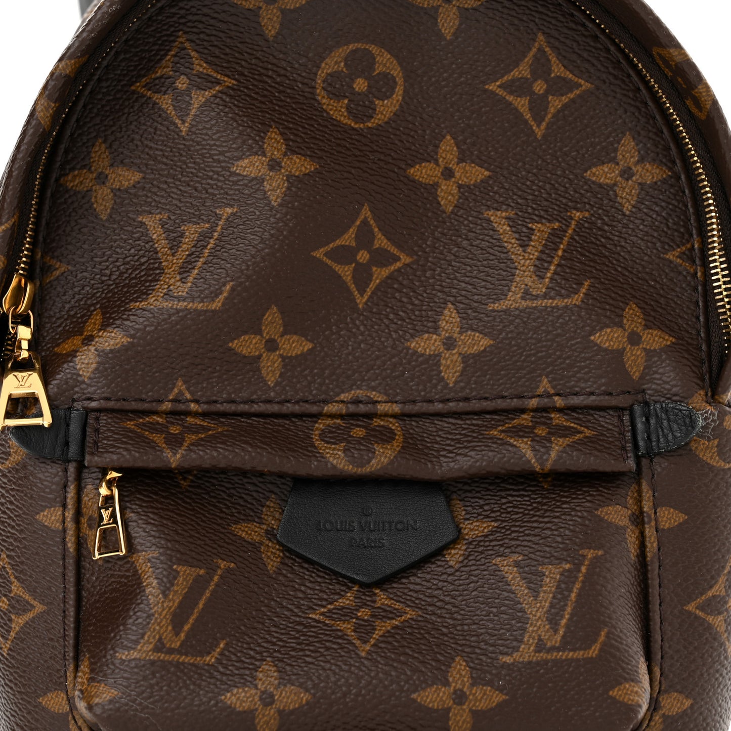Monogram Palm Springs Backpack Mini