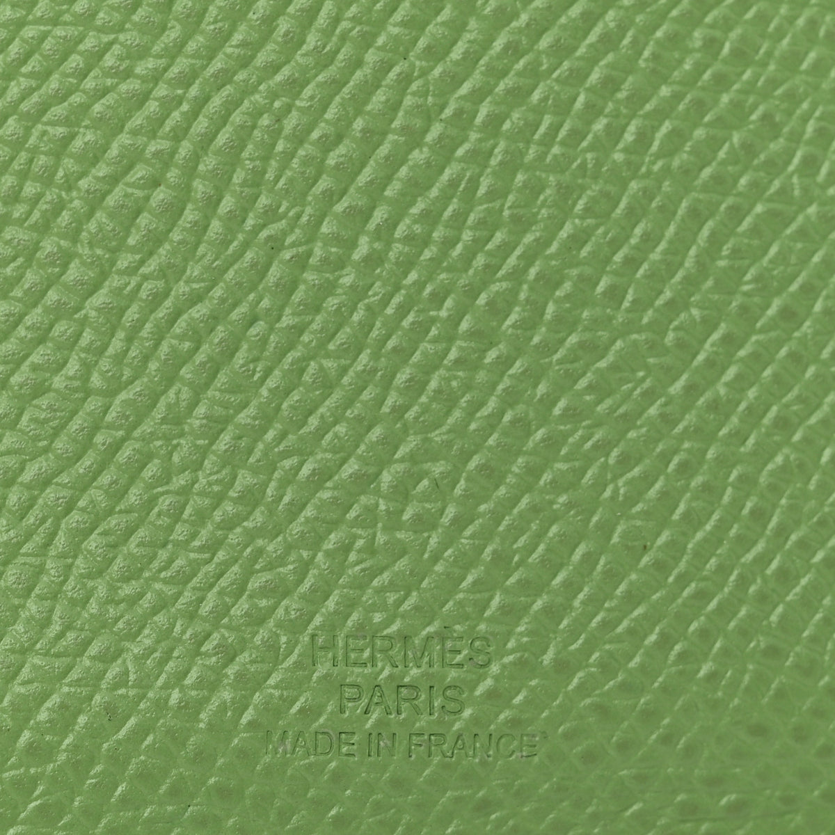 Epsom Tarmac Dot PM Passport Holder Vert Criquet Bleu Brume