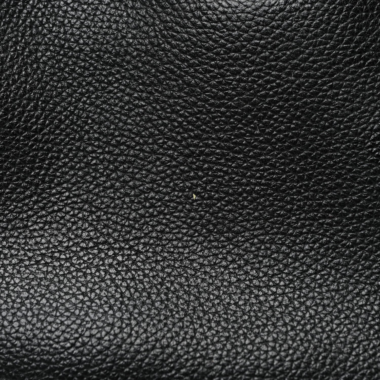 Chanel Calfskin Cerf Executive Shopper Tote Black 31 of 33