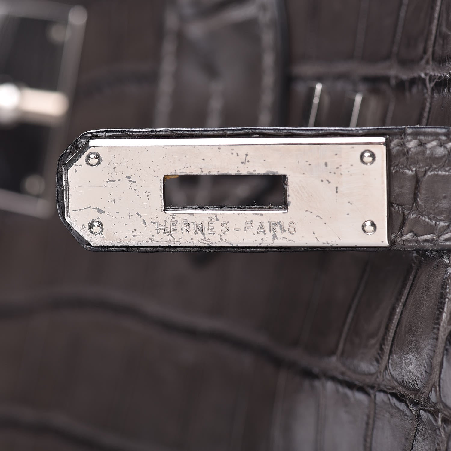 Hermes Matte Niloticus Crocodile Birkin 30 Gris Elephant 17 of 45