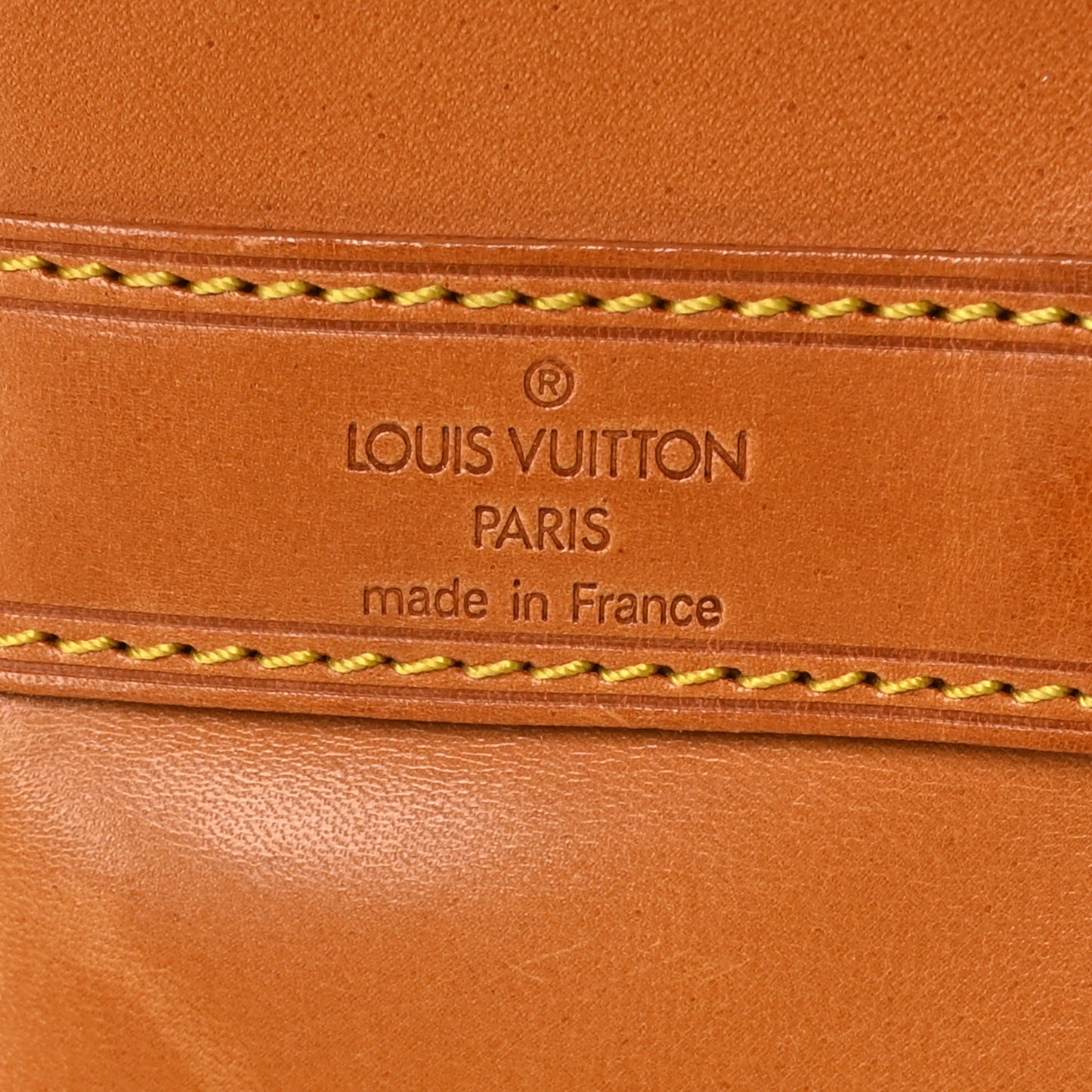 Monogram Randonnee GM Backpack