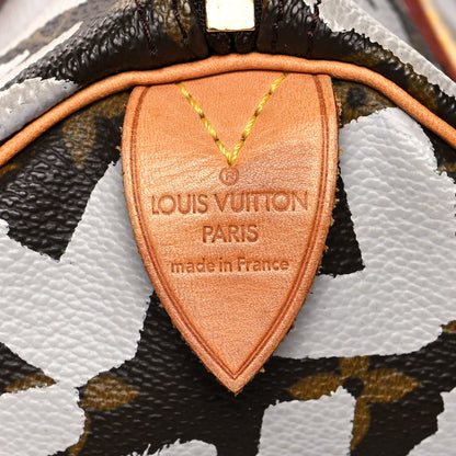 Louis Vuitton Monogram Graffiti Speedy 30 Silver 5 of 10