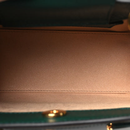 Gucci Textured Dollar Calfskin Mini Diana Tote Bag Vintage Green Pink 5 of 10