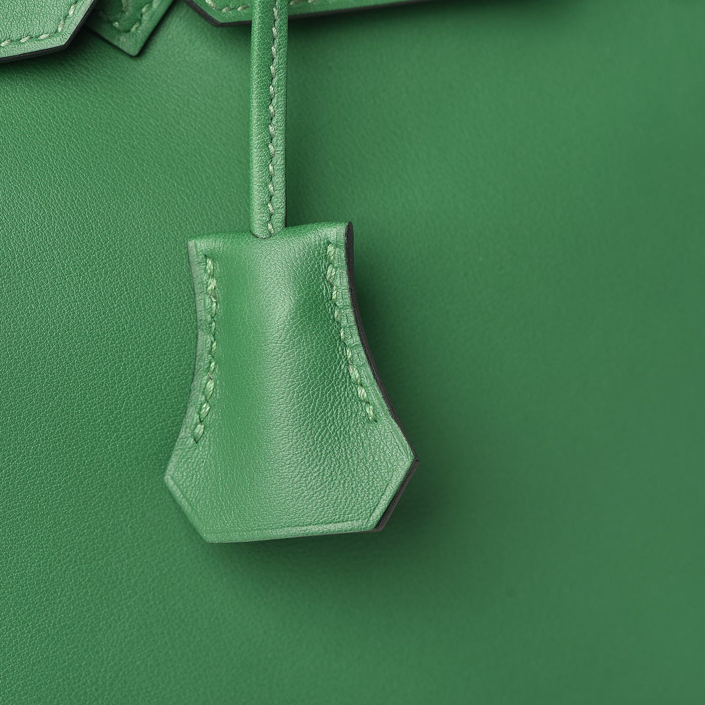 Swift Birkin 25 Cactus