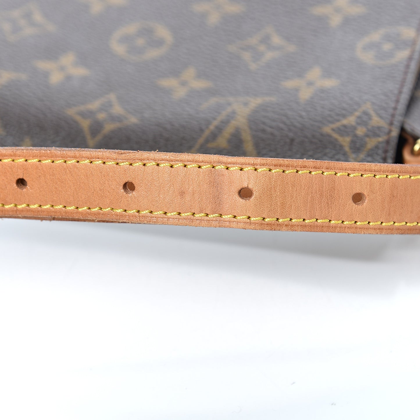 Monogram Musette Salsa