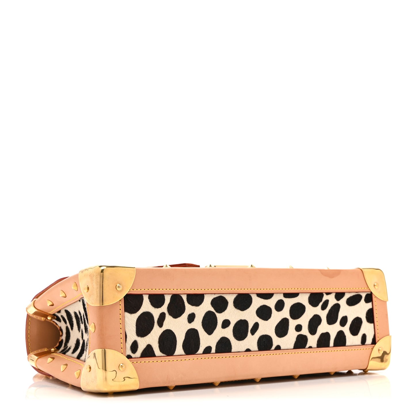 Monogram Multicolor Dalmatian Sac Rabat