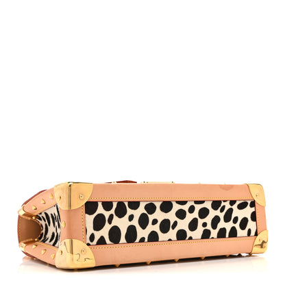 Louis Vuitton Monogram Multicolor Dalmatian Sac Rabat 4 of 11