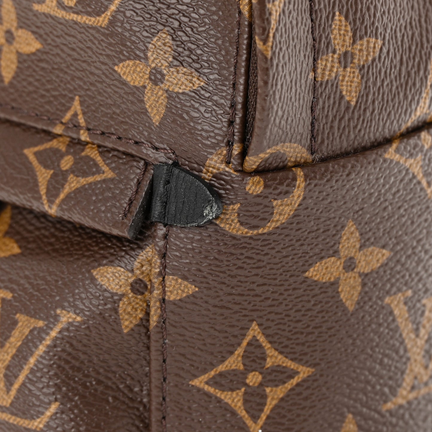 Monogram Palm Springs Backpack Mini