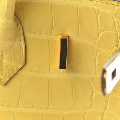 Hermes Matte Alligator Birkin 25 Jaune Ambre 25 of 33