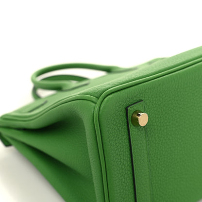 Hermes Togo Birkin 25 Vert Yucca 11 of 12