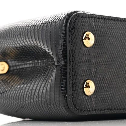 Louis Vuitton Lizard Capucines Mini Black 9 of 11