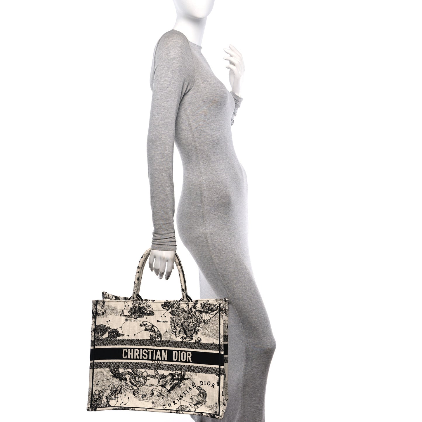 Canvas Embroidered Large Zodiac Toile De Jouy Book Tote Latte