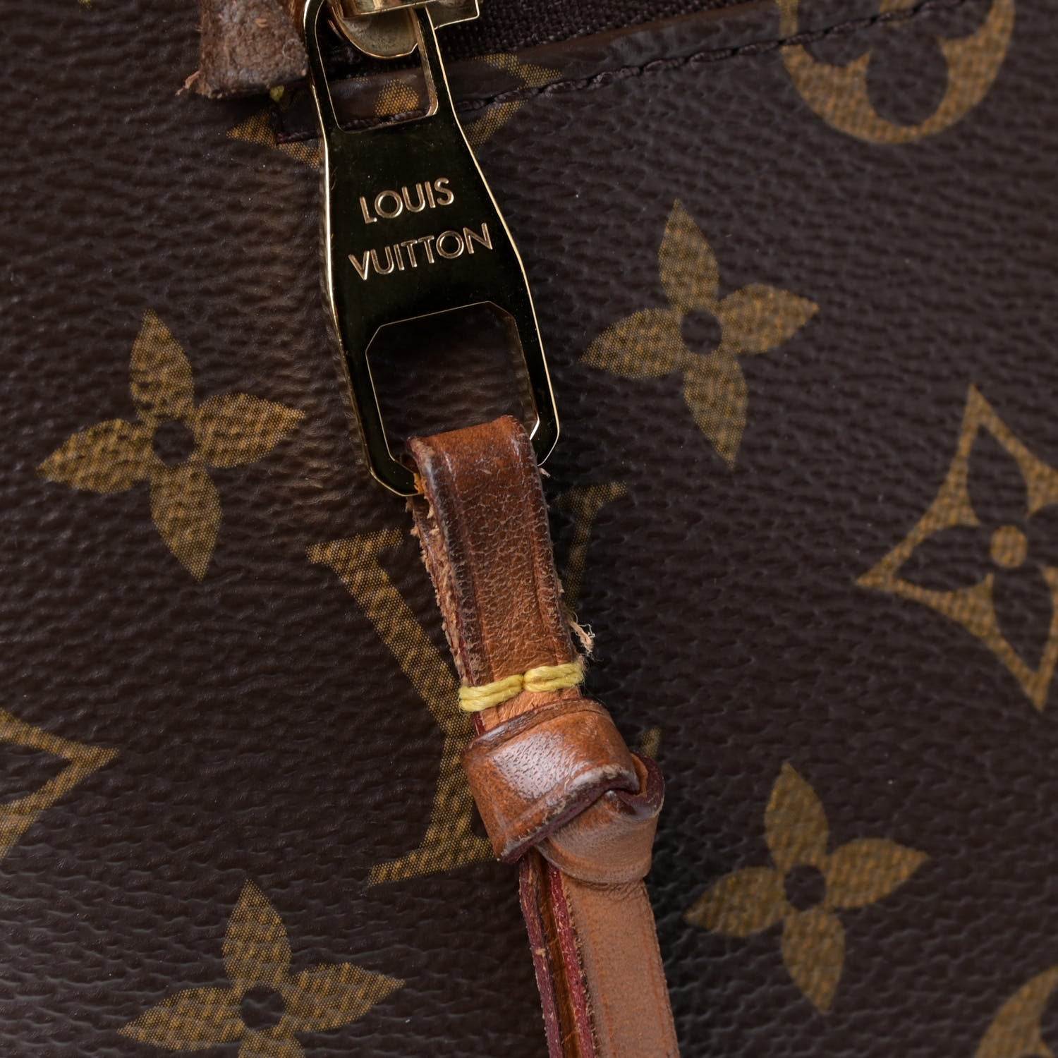Louis Vuitton Monogram Iena MM 7 of 10