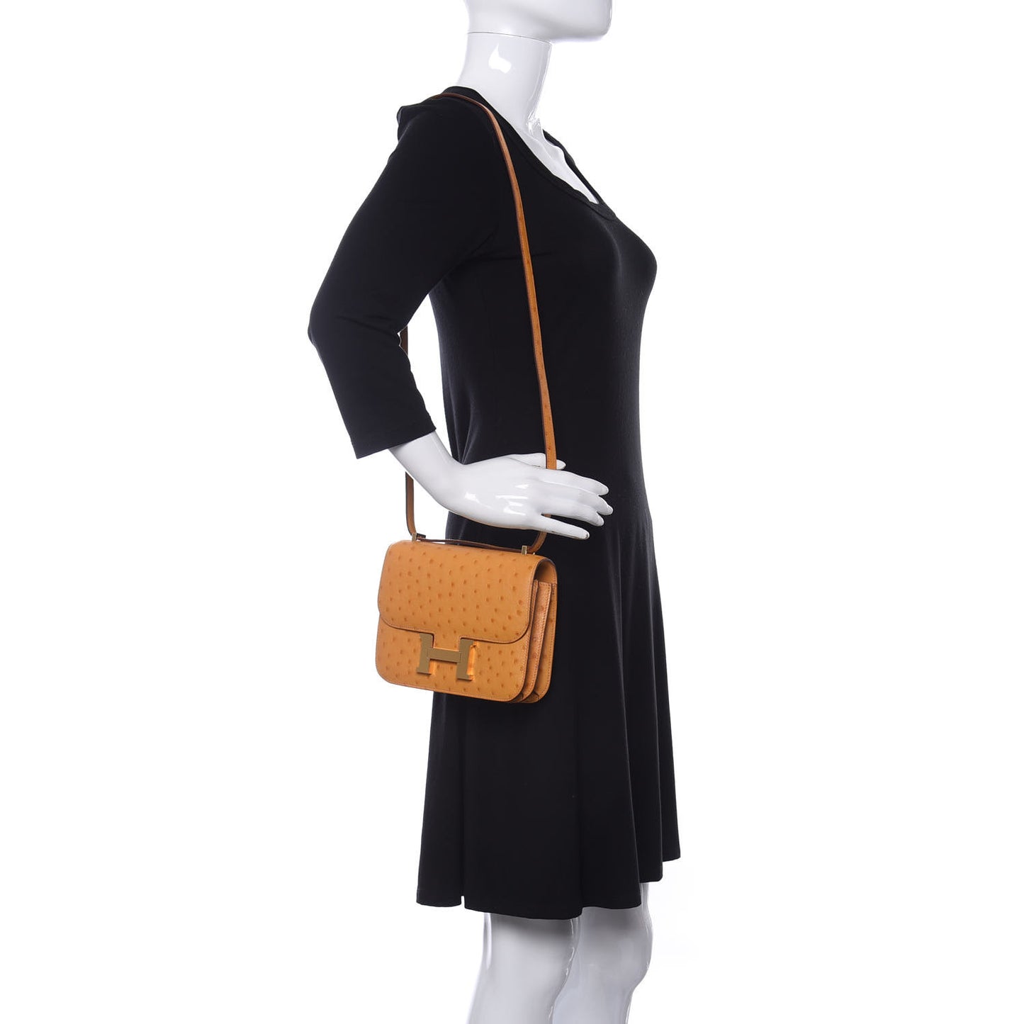 Ostrich Constance 18 Safran