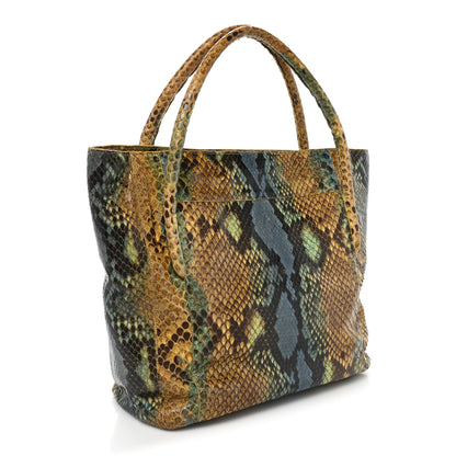 Nancy Gonzalez Snakeskin Liz Tote Beige Blue 3 of 18
