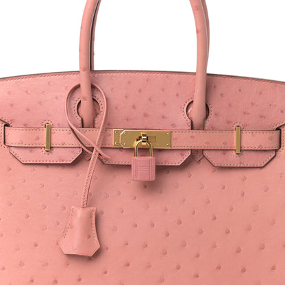 Hermes Ostrich Birkin 30 Terre Cuite 8 of 13