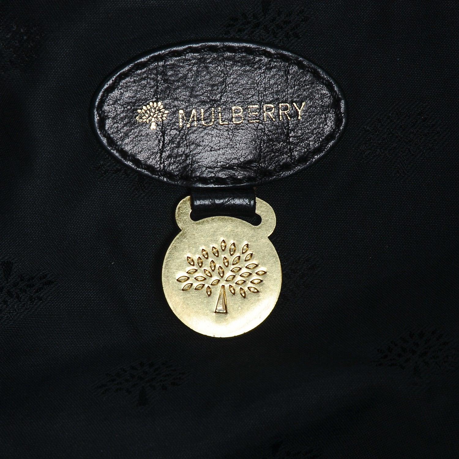 Mulberry Soft Buffalo Oversized Alexa Black 7 of 8