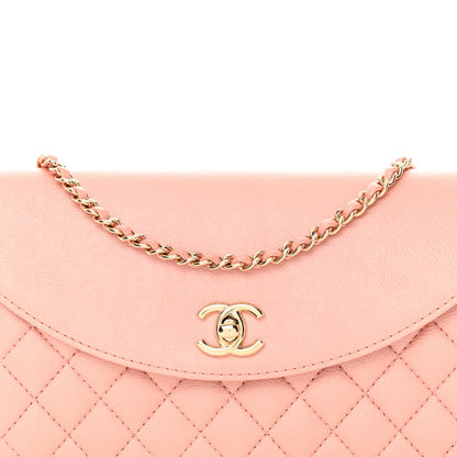 Chanel Iridescent Calfskin Smart Pocket Flap Bag Pink 8 of 12